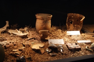 A display of prehistoric artifacts at the State Museum of Pennsylvania