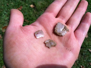 Prehistoric flakes found at Ferry Farm